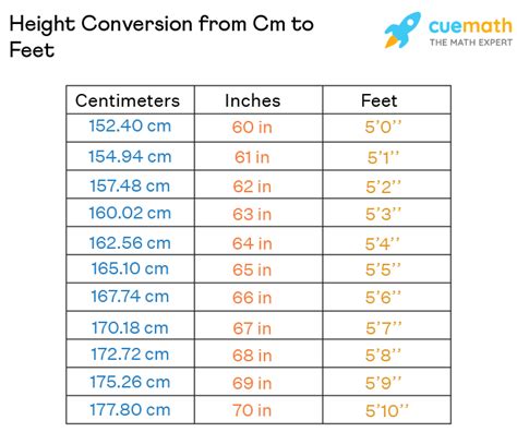 205cm to feet|Convert cm to feet